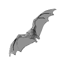 Artibeus Bat Black White Svg