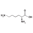 Svg Lysine
