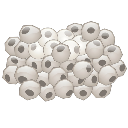 Normal And Cancer Cells