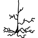 53 Pyr Basic