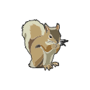 Squirrel Wildlife Vector