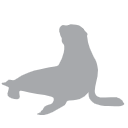 Sea Lion Marine Silhouette