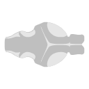 155 Zebrafish Brain Outline