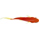 83 Fish Swimming Fast