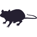 85 Mouse Alert