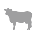 Dairy Cow Silhouette Svg