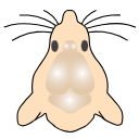 489 Mouse Head F6qhj Sj