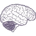 280 Brain