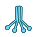 Free Illustration Complement C1 Complex