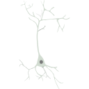 42 Neuron 3