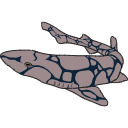 329 Shark2 Us H7o4f