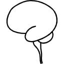 51 Brain Basic