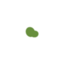 Svg Zoosporangium