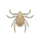 Free Scientific Illustration Of American Dog Tick Nymph
