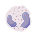 Eosinophil