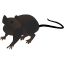 89 Mouse Turning