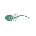 Monosiga Brevicollis