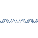 Dna Helix Four