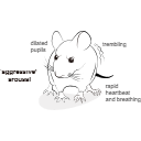 620 Angrymouse