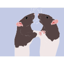 201 Rats Boxing