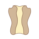 Ion Channel Gated Four Open