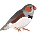 40 Finch