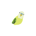 168 Budgie Yellow