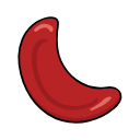 Sickled Red Blood Cell