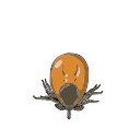 Free Scientific Illustration Of Tick Feeding Day 2