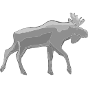 Moose Grey Wildlife Vector