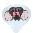 442 Fly Brain2