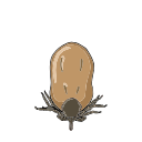 Free Scientific Illustration Of Tick Feeding Day 4