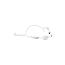 546 Rat Cartoon 5o D52b Z