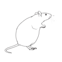 104 Mouse Fat Rearing