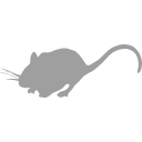 Mouse Rodent Silhouette Svg