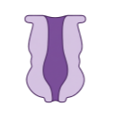 Ion Channel Four