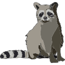 Raccoon Animal Svg