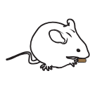 97 Mouse Eating V2