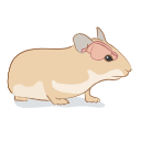 Hamster Brain Overlay Svg