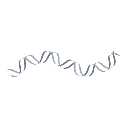 Dna Helix Three