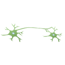 610 Two Neurons