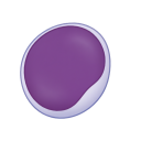 Lymphoblast One 3D Model