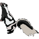 Spotted Skunk Bold Vector