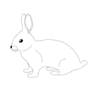 312 Rabbit Svg2