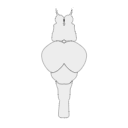 154 Zebrafish Top Brain By Gc