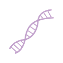 Dna Helix