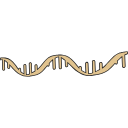 Free Scientific Illustration Download Of Rna