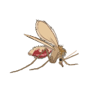 Free Scientific Illustration Of Mosquito Pupa