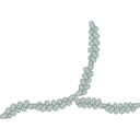 Free Illustration Actin Filament Brush