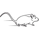 118 Mouse Running V2
